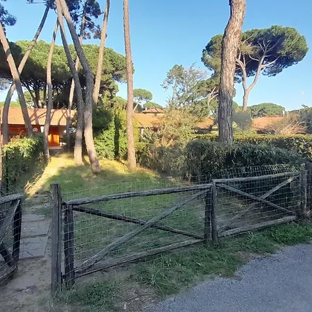Il Gamberetto *