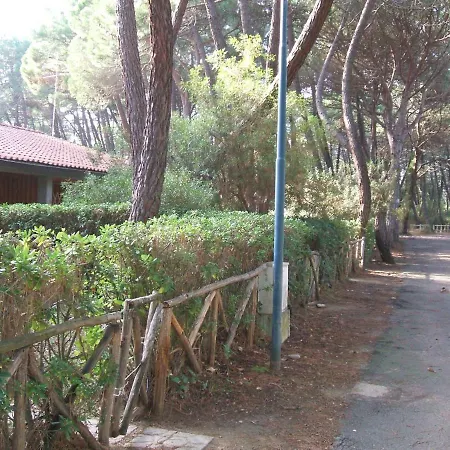 Il Gamberetto *