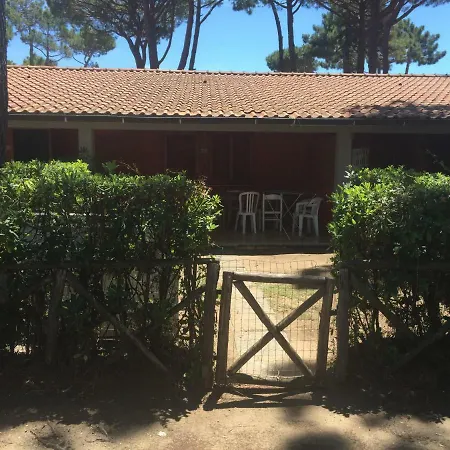 Il Gamberetto Principina a Mare